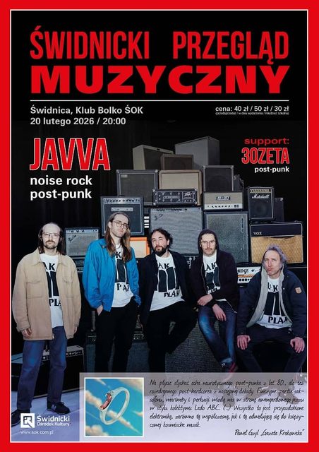 Koncert dla fanów alternatywnego rocka i punka