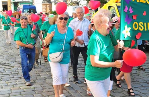 Zostań członkiem Rady Seniorów w Świdnicy