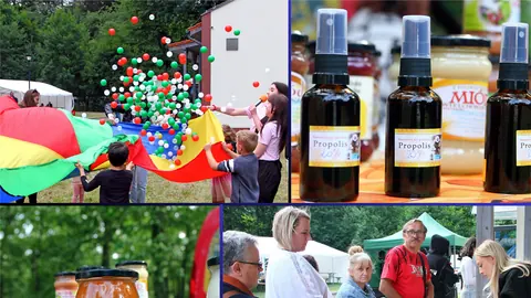 Za nami Święto Lipy i Miodu