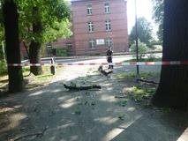 Straż interweniuje