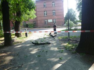 Straż interweniuje