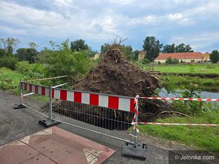 Oj panie, takie drzewo padło, że ledwo tędy przeszedłem