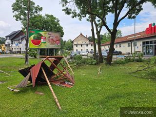 Oj panie, takie drzewo padło, że ledwo tędy przeszedłem