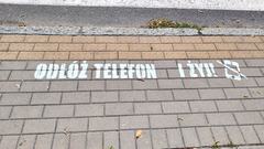 Odłóż telefon i... żyj!