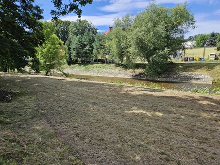 Ruszają prace porządkowe brzegów rzeki Bystrzyca