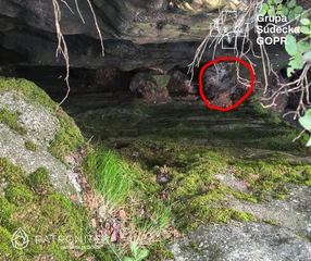 Chłopiec wpadł w 10 metrową skalną szczelinę