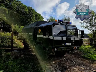 Nie każdy "skarb" z lasu nadaje się do koszyka...